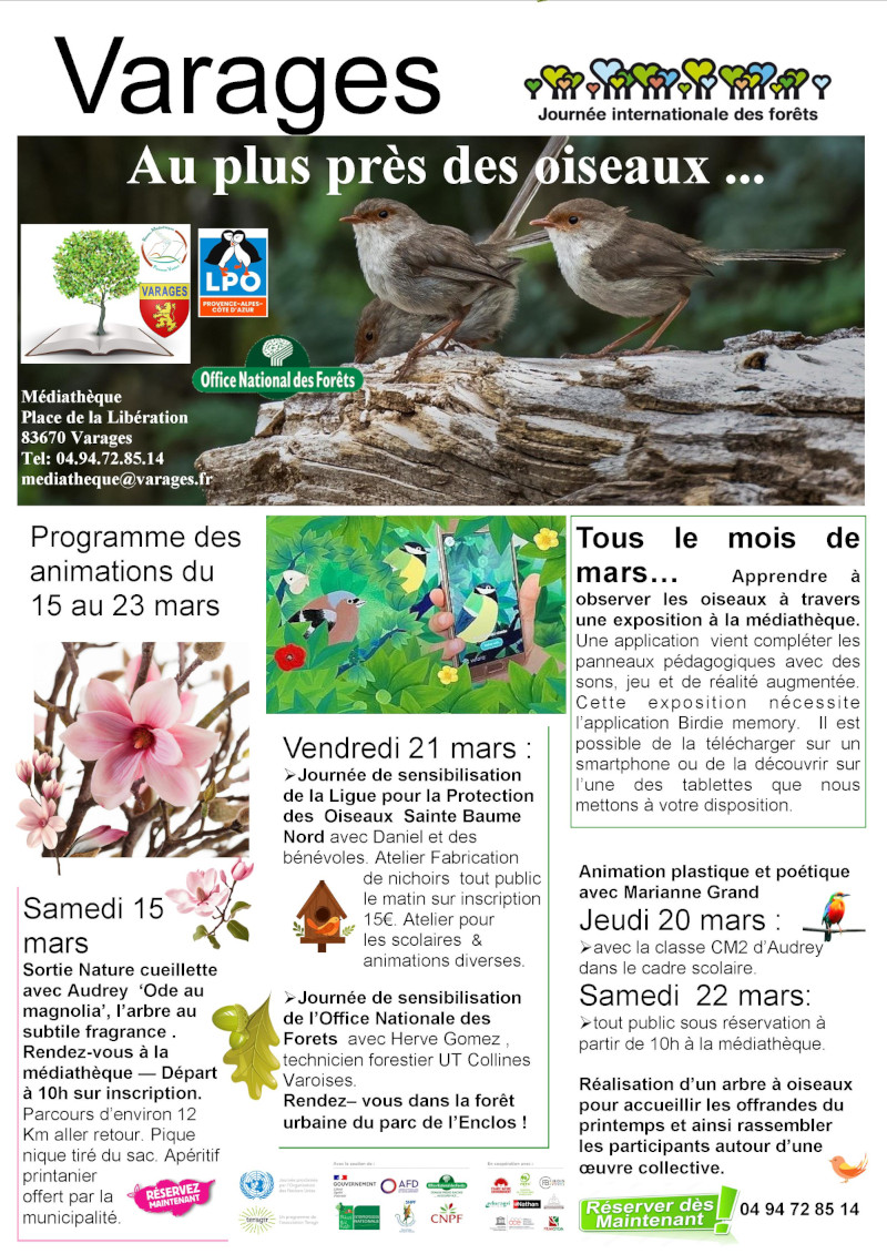 affiche journee mondiale foret oiseau 2025