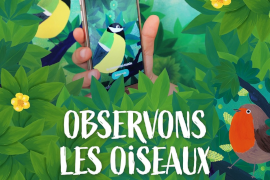 observons les oiseaux